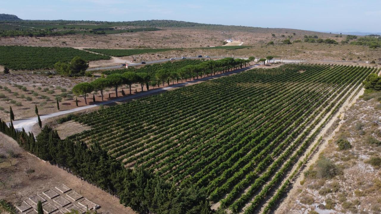 Chateau Catherine De Montgolfier B&B Et Gites Narbonne Eksteriør billede