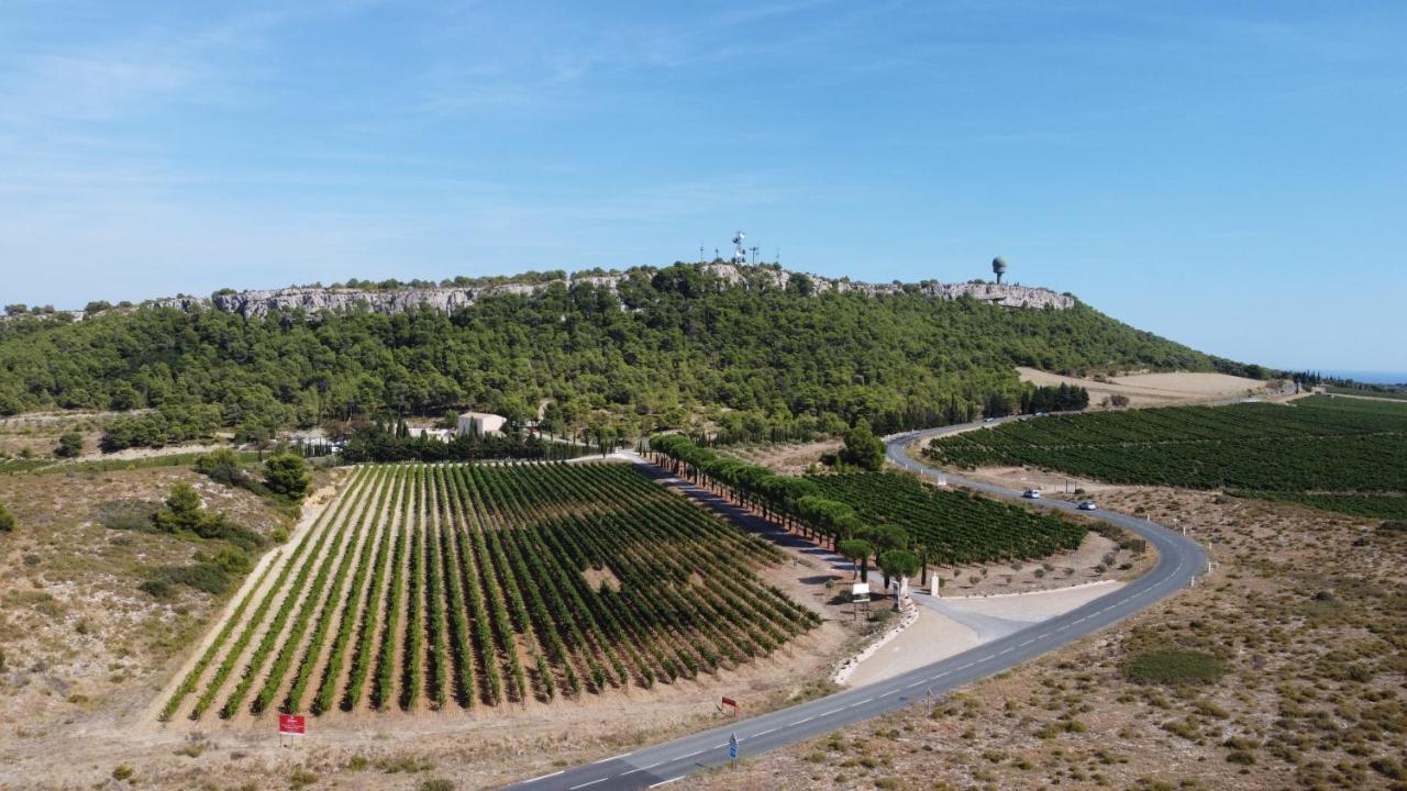 Chateau Catherine De Montgolfier B&B Et Gites Narbonne Eksteriør billede